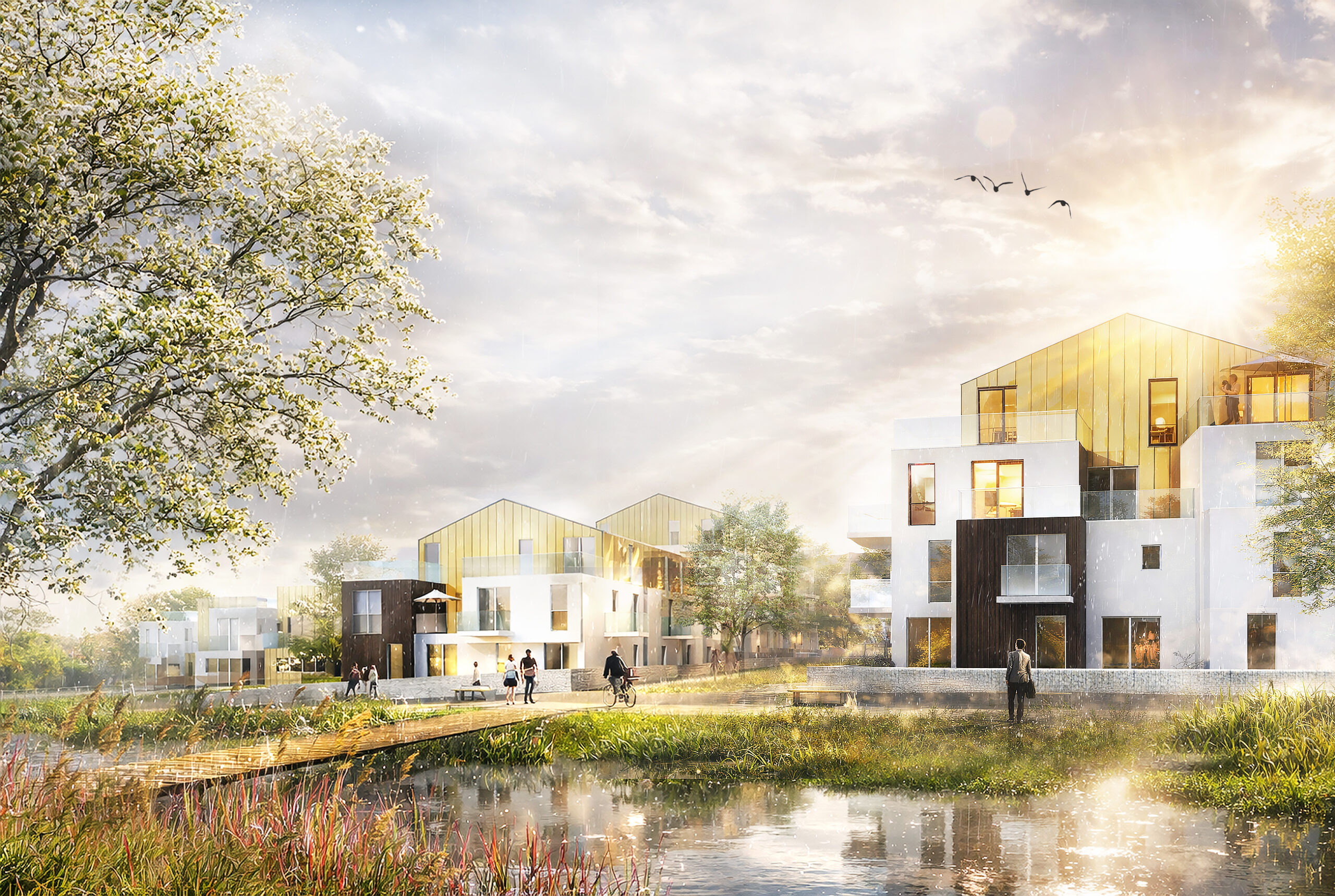 dx architectures_degageux_62 logements _nogent le rotrou (2)